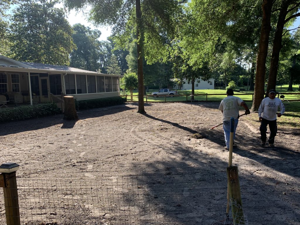 St. Augustine Grass Residential Sod Installation